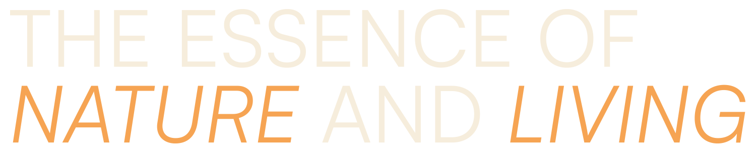 Simply Invest logo